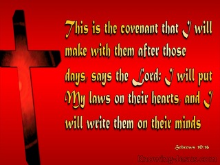 Hebrews 10:16 My Laws In Their Heart (red)